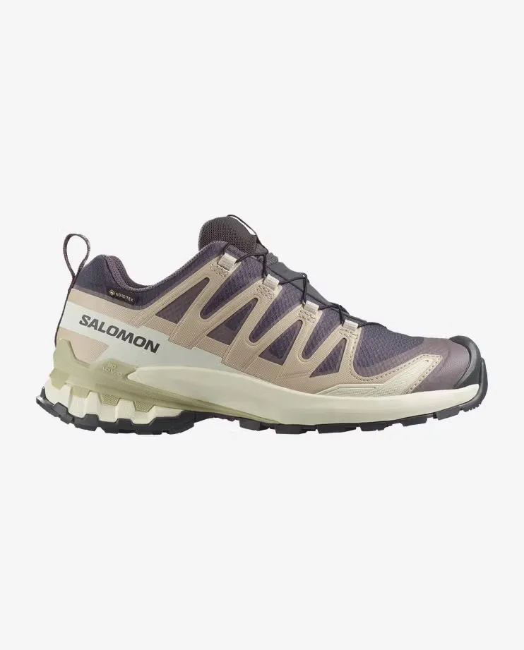 Salomon XA PRO 3 D V9 GTX Damen