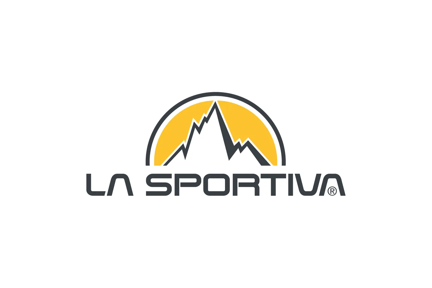 LS logotype 01